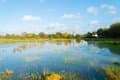 Image South West Carp Lakes: The Best Day Ticket Venues in Dorset, UK