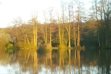 Cover Henfold Lakes: A Premier Coarse Fishing Destination