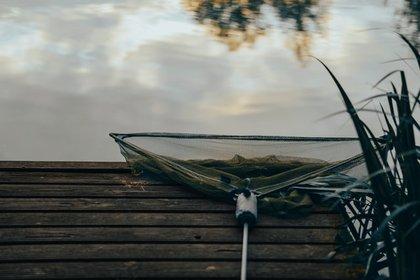 Cover The Ultimate Guide to Choosing the Best Landing Net for Carp Fishing