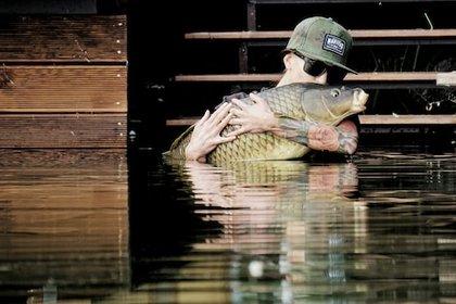 Cover Carp Fishing in Weedy Waters: The Best Rigs for Success