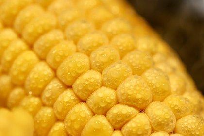 Cover Sweetcorn as a Carp Bait: Everything You Need to Know