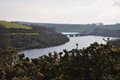 Image Specimen Carp Lakes in Somerset: The Best Day Ticket Venues