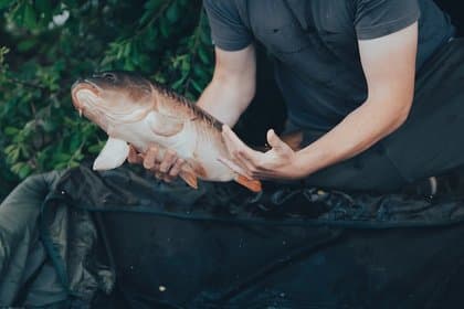Cover Carp Fishing 101: How to Use Pellets as Bait for Maximum Success