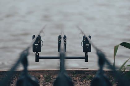 Cover What Rod Should I Use for Carp Fishing?