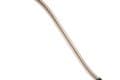 Image How to Use a Throwing Stick for Carp Fishing